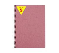 Clairefontaine 781426Cpack Collection Nomaddict (ex Age Bag) Lot de 5 Cahiers à Spirale Rose Antique - A4 - 100 Pages Petits Carreaux Papier Blanc 90 g - Couverture Carte Lustrée Grain Cuir