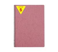 Clairefontaine 781456Cpack Collection Nomaddict (ex Age Bag) Lot de 5 Cahiers à Spirale Rose Antique - A4 - 100 Pages Lignées avec Marge - Papier Blanc 90 g - Couverture Carte Lustrée Grain Cuir