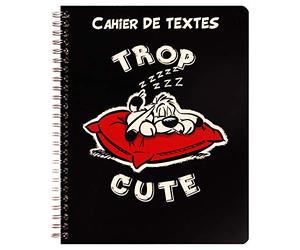 Clairefontaine 812972C - Un Cahier de Textes à Spirale ''Astérix - Idéfix'' 164 pages 17x22 cm Grands Carreaux, papier 90g, 12 pages de BD incluses, Couverture Solide ''Cute''
