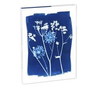 Clairefontaine 83507C - Un Set de Correspondance 8 Cartes 11x15,5 cm assorties motifs Floral / Cyanotype et 8 Enveloppes Pollen C6 Blanc Naturel - Collection Cyanotype - 12x16,5 cm