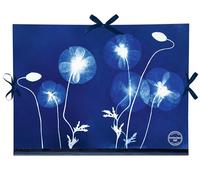 Clairefontaine - 83513C - Un Carton à Dessin Décor Floral/Cyanotype - Fermeture 3 Rubans 28x38cm - Pour formats A4 et 24 x 32 cm - Résistant et Pratique - Collection Cyanotype