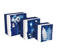 Clairefontaine - 83514C - Un Lot de 3 Boites de Rangement Gigognes Carrées Multifonctions en Carton Décor Floral/Cyanotype, 25x25x12 cm, 20x20x11cm et 16x16x10 cm - Collection Cyanotype