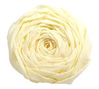 Clairefontaine 901002C - Paquet de 10 Feuilles de Papier Crépon - Couleur Ivoire - Format 2x0,50m - Crêpage 40% - Loisirs Créatifs Adultes et Enfants - Bricolage et Activités Manuelles