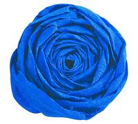 CLAIREFONTAINE Paquet de 10 feuilles Crépon M40 2x0,50m Bleu marine