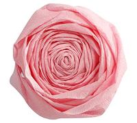 Clairefontaine 901033C - Paquet de 10 Feuilles de Papier Crépon - Couleur Rose Pâle - Format 2x0,50m - Crêpage 40% - Loisirs Créatifs Adultes et Enfants - Bricolage et Activités Manuelles
