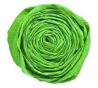 Clairefontaine Papier crépon M40 200 x 50 cm Paquet de 10 Vert empire