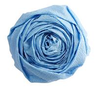 Clairefontaine 903027C - Paquet de 10 Feuilles de Papier Crépon - Couleur Bleu Ciel - Format 2,50x0,50m - Crêpage 60% - Élastique et Résistant - Loisirs Créatifs, Bricolage et Activités Manuelles