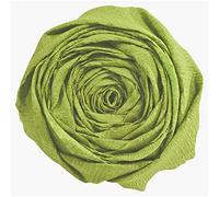 Clairefontaine Papier crépon 903055C – Paquet 10 feuilles Vert mousse 2,50x0,50 m, crêpage 60%
