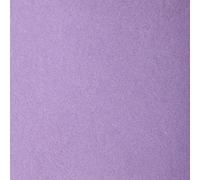 Clairefontaine 90859C Étui Papier Etival Color - 5 Feuilles Papier Dessin à Grain Parme - A4 21x29,7 cm 160g - Idéal pour le Dessin et les Activités Créatives