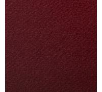 Clairefontaine 90864C Étui Papier Etival Color - 5 Feuilles Papier Dessin à Grain Bordeaux - A4 21x29,7 cm 160g - Idéal pour le Dessin et les Activités Créatives