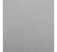 Clairefontaine 90867C Étui Papier Etival Color - 5 Feuilles Papier Dessin à Grain Gris - A4 21x29,7 cm 160g - Idéal pour le Dessin et les Activités Créatives