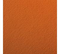 Clairefontaine 90873C Étui Papier Etival Color - 5 Feuilles Papier Dessin à Grain Orange - A4 21x29,7 cm 160g - Idéal pour le Dessin et les Activités Créatives