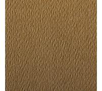 Clairefontaine 90877C Étui Papier Etival Color - 5 Feuilles Papier Dessin à Grain Havane - A4 21x29,7 cm 160g - Idéal pour le Dessin et les Activités Créatives