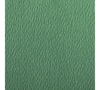 Clairefontaine 90878C Étui Papier Etival Color - 5 Feuilles Papier Dessin à Grain Vert Foncé - A4 21x29,7 cm 160g - Idéal pour le Dessin et les Activités Créatives