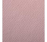 Clairefontaine 90883C Étui Papier Etival Color - 5 Feuilles Papier Dessin à Grain Rose Foncé - A4 21x29,7 cm 160g - Idéal pour le Dessin et les Activités Créatives