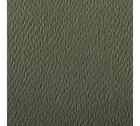 Clairefontaine 90886C Étui Papier Etival Color - 5 Feuilles Papier Dessin à Grain Vert Océan - A4 21x29,7 cm 160g - Idéal pour le Dessin et les Activités Créatives
