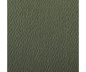 Clairefontaine 90886C Étui Papier Etival Color - 5 Feuilles Papier Dessin à Grain Vert Océan - A4 21x29,7 cm 160g - Idéal pour le Dessin et les Activités Créatives