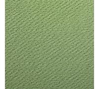 Clairefontaine 90896C Étui Papier Etival Color - 5 Feuilles Papier Dessin à Grain Vert Pomme - A4 21x29,7 cm 160g - Idéal pour le Dessin et les Activités Créatives