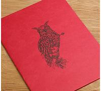 Clairefontaine 930033C Carnet Cousu Flying Spirit - 50 Feuilles Papier Esquisse Ivoire 21x16 cm 90g - Couverture en Carte Rouge - Illustration imprimée au dos aléatoire