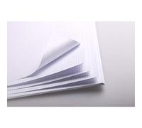 Clairefontaine 93325C Paquet Bristol - 25 Feuilles Papier Bristol Quadrillé Petits Carreaux Blanc Extra Lisse - 50x65 cm 205g - Idéal pour le Dessin Technique à la Plume et le Maquettisme