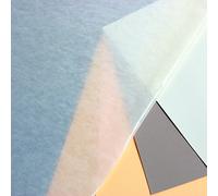 Clairefontaine 93476C Papier Cristal Pergamine - 20 Feuilles Papier Souple Légèrement Transparent - 73x101 cm 45g - Idéal pour Protéger des Dessins