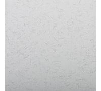 Clairefontaine 93500C Paquet Papier Ingres Pastel - 25 Feuilles Papier Ingres Vergé Gris Clair - 50x65 cm 130g - Idéal pour le Dessin au Crayon, à la Sanguine ou au Fusain