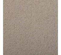 Clairefontaine 93756C Paquet Papier Etival Color - 24 Feuilles Papier Dessin à Grain Champagne - 50x65 cm 160g - Idéal pour le Dessin et les Activités Créatives