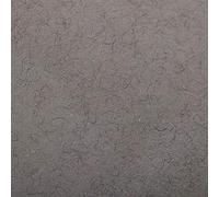 Clairefontaine 93762C Paquet Papier Etival Color - 24 Feuilles Papier Dessin à Grain Gris Chiné - 50x65 cm 160g - Idéal pour le Dessin et les Activités Créatives