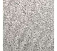 Clairefontaine 93781C Paquet Papier Etival Color - 24 Feuilles Papier Dessin à Grain Gris Clair - 50x65 cm 160g - Idéal pour le Dessin et les Activités Créatives
