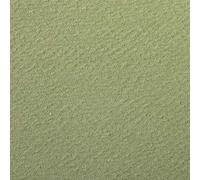 Clairefontaine 93784C Paquet Papier Etival Color - 24 Feuilles Papier Dessin à Grain Vert Amande - 50x65 cm 160g - Idéal pour le Dessin et les Activités Créatives
