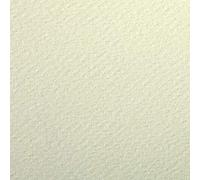 Clairefontaine 93792C Paquet Papier Etival Color - 24 Feuilles Papier Dessin à Grain Tilleul - 50x65 cm 160g - Idéal pour le Dessin et les Activités Créatives