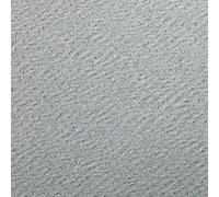 Clairefontaine 93795C Paquet Papier Etival Color - 24 Feuilles Papier Dessin à Grain Gris Ciel - 50x65 cm 160g - Idéal pour le Dessin et les Activités Créatives