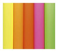 Clairefontaine 93820C - Paquet de 25 Feuilles de Papier Affiche Fluo 90g/m² - Format 60x80cm - Découpage, Ecriture, Collage - Loisirs Créatifs Adultes et Enfants - Coloris Assortis