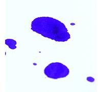 Clairefontaine 93831C Paquet Papier Buvard - 25 Feuilles Papier Buvard Blanc Très Absorbant - 50x65 cm 200g - Idéal pour les Travaux d'Écriture ou le Dessin à l'Encre