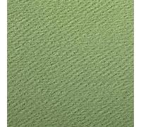 Clairefontaine 93896C Paquet Papier Etival Color - 25 Feuilles Papier Dessin à Grain Vert Pomme - A4 21x29,7 cm 160g - Idéal pour le Dessin et les Activités Créatives