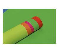 Clairefontaine 93920C - Rouleau de 10 Affiches Fluo 90g/m² - Format 60x80cm - Découpage, Ecriture, Collage - Loisirs Créatifs Adultes et Enfants - Coloris Assortis