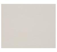 Clairefontaine 93979C Paquet Carton Gris - 10 Feuilles Carton 100% Recyclé - 60x80cm 1,5mm 975g - Idéal pour le Maquettisme
