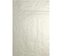 Clairefontaine 95476C Sachet de papier de soie 8 feuilles 0,75x0,50m Argent Argent G