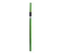 Clairefontaine Papier cadeau kraft 95721C – Kraft recyclé 65 g – 3 x 0,70 m – Vert bourgeon