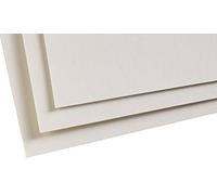 Clairefontaine 96020C Paquet Papier Pastelmat - 5 Feuilles Carte Spéciale pour Pastels Secs - 50x70 cm 360g - Gris Clair