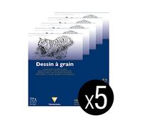 Clairefontaine 96025Cpack - Bloc Encollé Papier Dessin à Grain - 20 Feuilles Papier Dessin au Grain Marqué - 24x32 cm 224g - Idéal pour le Dessin Scolaire - Paquet de 5 Blocs