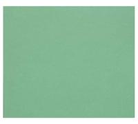 Clairefontaine 960578C Paquet Papier Tulipe - 50 Feuilles Papier Dessin à Grain Vert Foncé - A3 29,7x42 cm 160g - Idéal pour le Dessin et les Activités Créatives