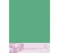 Clairefontaine 96169C Paquet Papier Pastelmat - 5 Feuilles Carte Spéciale pour Pastels Secs - 70x100 cm 360g - Vert Foncé
