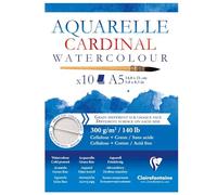Clairefontaine 96182C Bloc Cardinal 10 Feuilles Aquarelle A5 300g