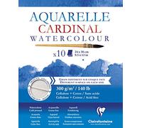 Clairefontaine 96195C Bloc Cardinal 10 Feuilles Aquarelle 24x30cm 300g
