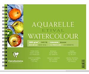 Clairefontaine 96361C - Un album à spirale de papier dessin Etival Grain Torchon 12 feuilles 24x30 cm 300g, Blanc