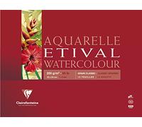 Clairefontaine 96377C - Un bloc encollé 4 côtés de papier dessin Etival grain classic 10 feuilles 18x24 cm 200g, Blanc