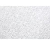 Clairefontaine 96387C- Un paquet de 25 feuilles de papier dessin Etival grain classic 50x65 cm 200g, Blanc