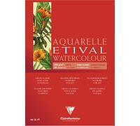 Clairefontaine 96399C - Un bloc encollé 4 côtés de papier dessin Etival Grain Classic 10 feuilles 42x56 cm 300g, Blanc