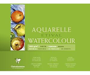 Clairefontaine 96464C - Un bloc encollé 4 côtés de papier dessin Etival Grain Torchon 25 feuilles 42x56 cm 300g, Blanc